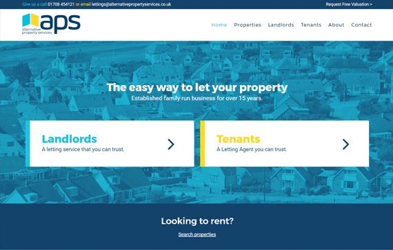 Alternative Property Services - Website Design Essex Portfolio