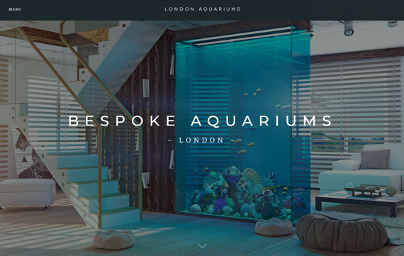 London Aquariums - Website Design Essex Portfolio