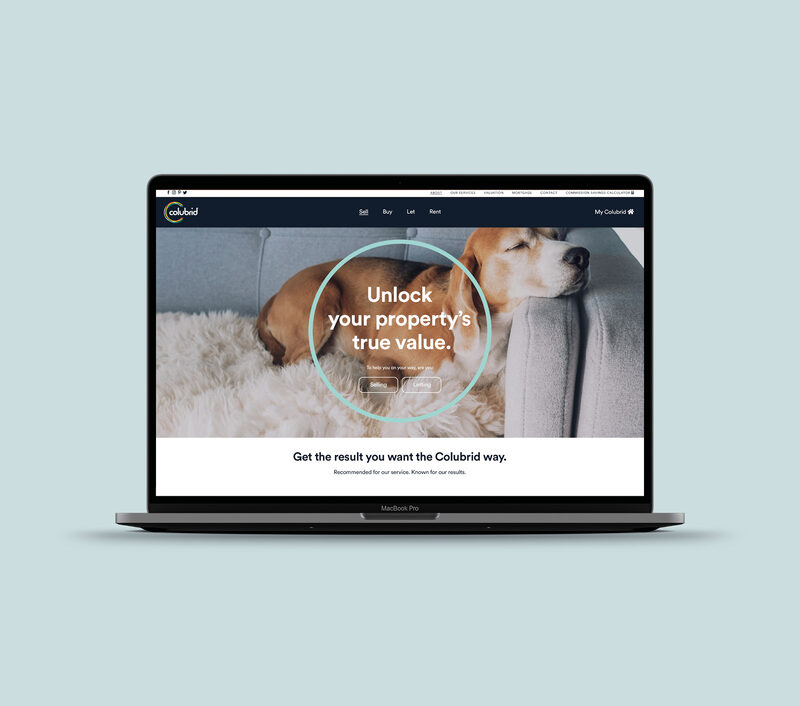 Colubrid - Case Study