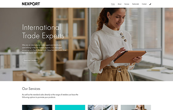 Nexport - Website Design Essex Portfolio